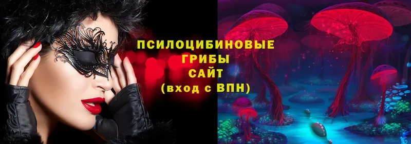 Псилоцибиновые грибы прущие грибы  Льгов 